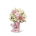 /images/ftdsg2012/BGH^1lg.jpg The FTD Baby Girl Big Hug Bouquet